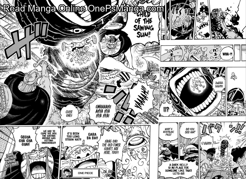 One Piece Manga One Piece, Chapter 1110 - Page 12