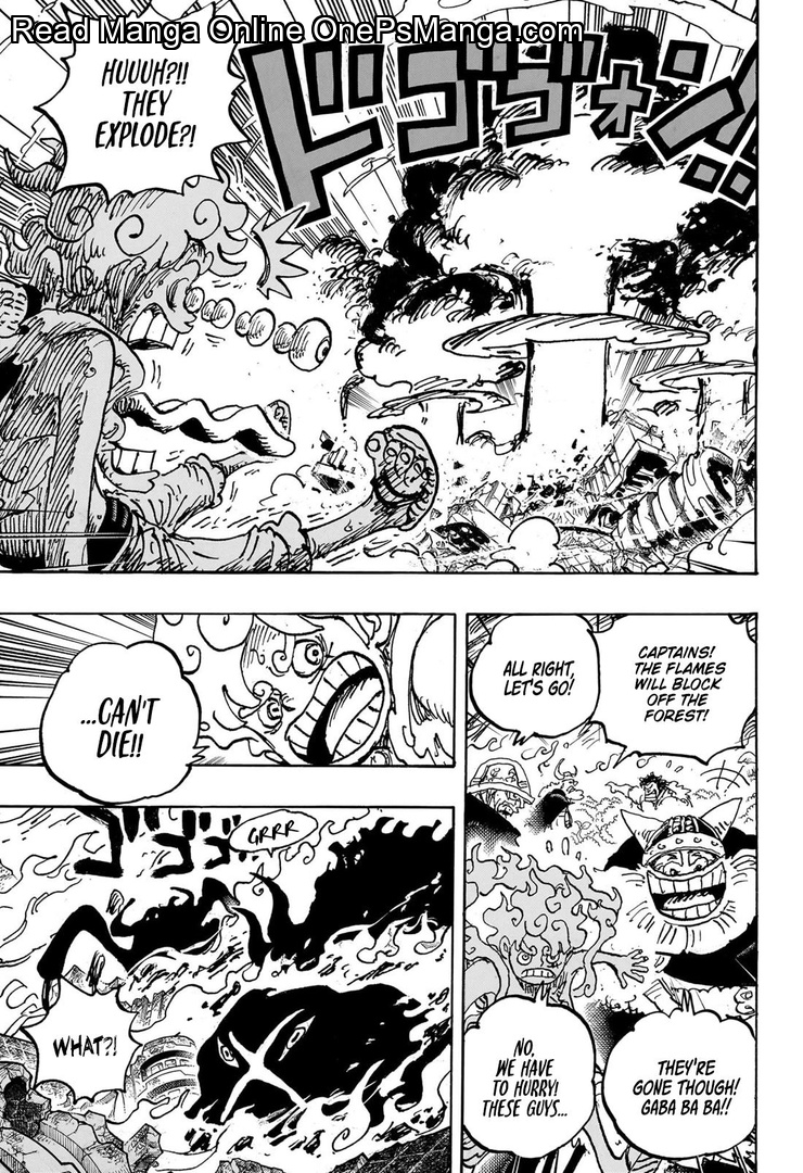 One Piece Manga One Piece, Chapter 1111 - Page 15